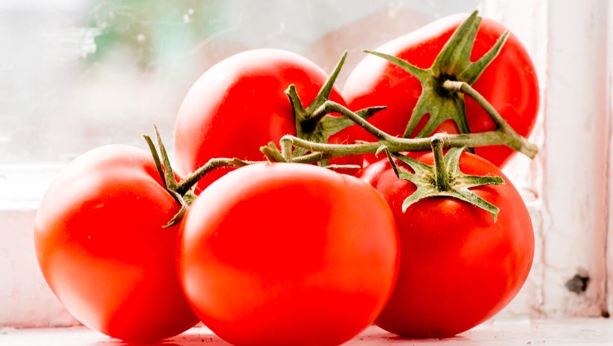 No space for a #garden ? No worries - try this instead: bit.ly/3wUESPI