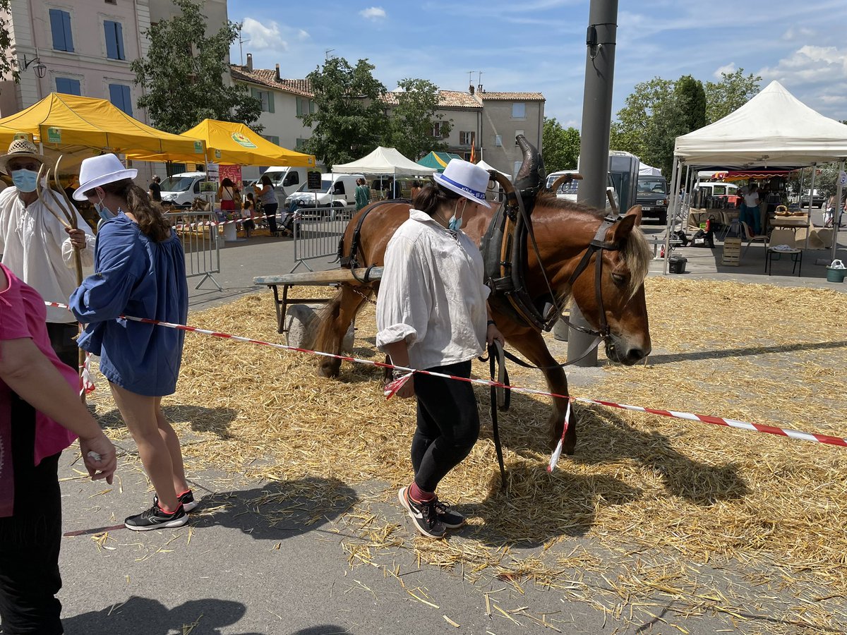 HPInfo's tweet photo. #Manosque : la 1ère Foire agricole de l’agglomération #DLVA, organisée par la #FDSEA04, a débuté ce samedi matin.
Elle se poursuit tout le week-end sur la Place du Terreau. Démonstrations, ateliers, découverte des animaux… @VilledeManosque  @camillegaltier  @jgdherbes @ldepieds https://t.co/kRa3tK1PuO