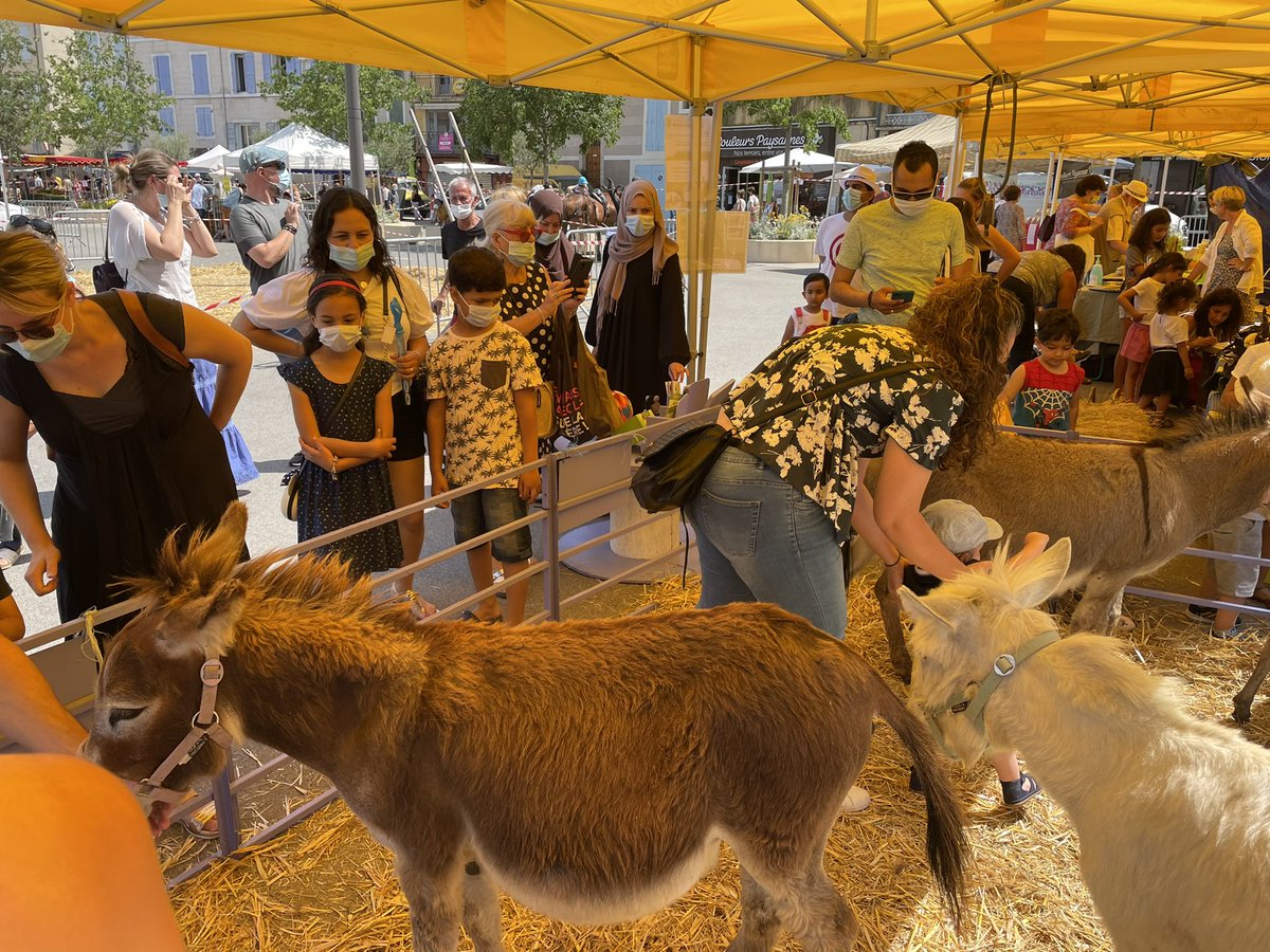 HPInfo's tweet photo. #Manosque : la 1ère Foire agricole de l’agglomération #DLVA, organisée par la #FDSEA04, a débuté ce samedi matin.
Elle se poursuit tout le week-end sur la Place du Terreau. Démonstrations, ateliers, découverte des animaux… @VilledeManosque  @camillegaltier  @jgdherbes @ldepieds https://t.co/kRa3tK1PuO