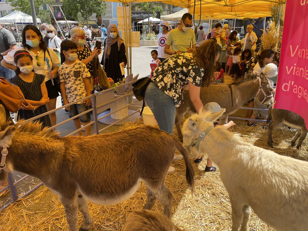 gmessienhpi's tweet photo. #Manosque : la 1ère Foire agricole de l’agglomération #DLVA, organisée par la #FDSEA04, a débuté ce samedi matin.
Elle se poursuit tout le week-end sur la Place du Terreau. Démonstrations, ateliers, découverte des animaux… @VilledeManosque  @camillegaltier  @jgdherbes @ldepieds https://t.co/FlwO4jUO2I