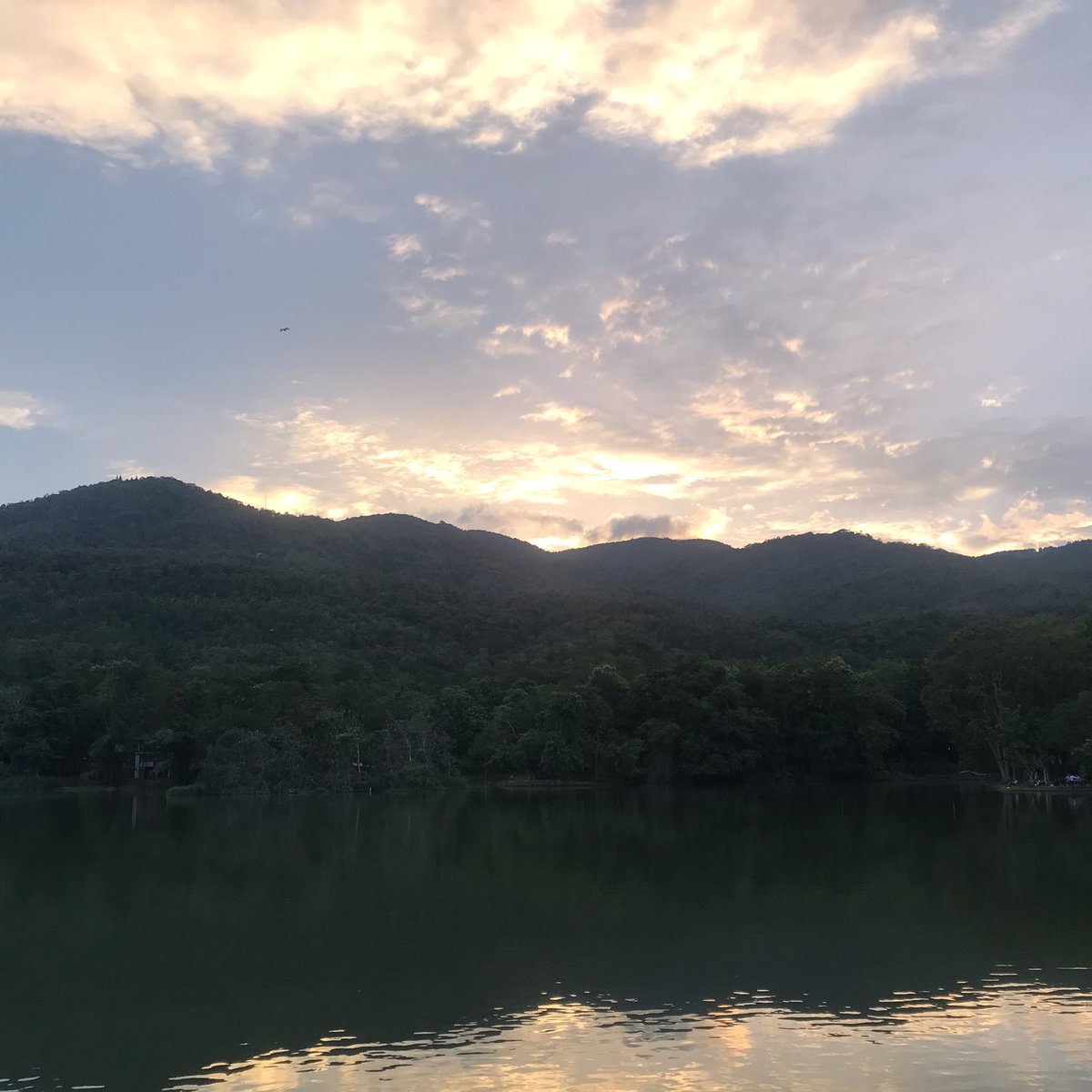 imskycool's tweet image. feelgood #imsky