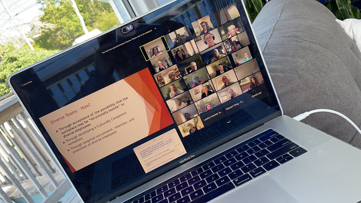 Diversity is being asked to the party; inclusion is being asked to dance - Verna Myers.  Enjoying an excellent session with Angela Simmons on Equity Diversity and Inclusion #DNSAGM2021