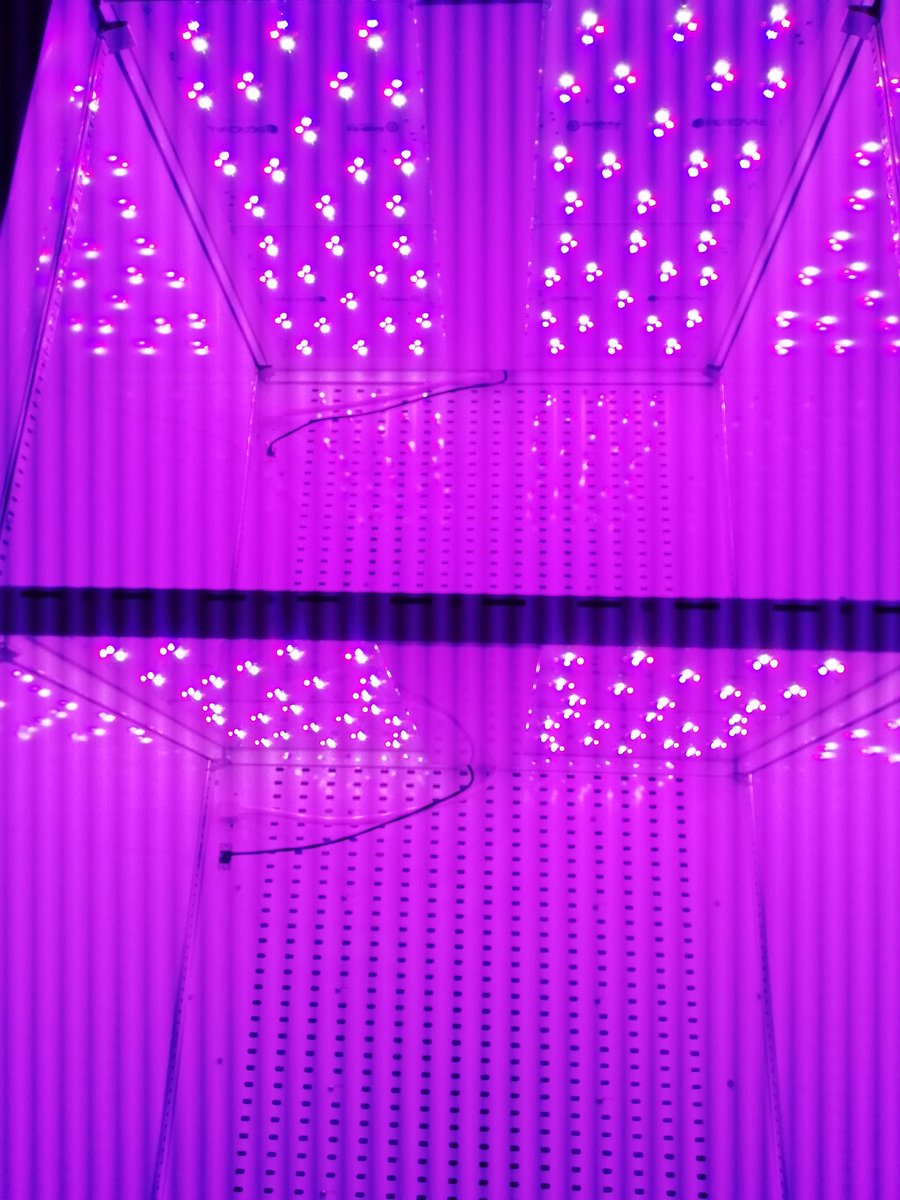 pcdb_lab_iiserb's tweet photo. @pcdb_lab_iiserb welcomes the new @PercivalSci SciBrite™ LED Plant Growth Chambers @iiserbhopal
https://t.co/SUldsPYbpu
@BioJkg #Percival #SciBrite #LEDLighting #plantgrowthchambers #arabidopsis #lightsignaling #photobiology #plantscience #pcdb_lab #iiserbhopal @IndiaPlantSci https://t.co/jOHh6SOZVL