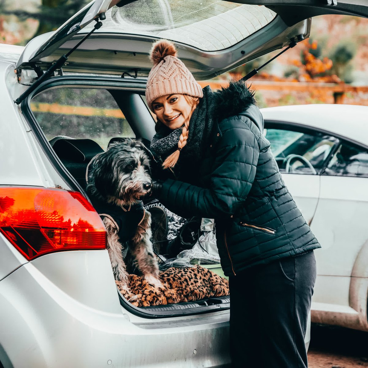 CineMerse tweet media