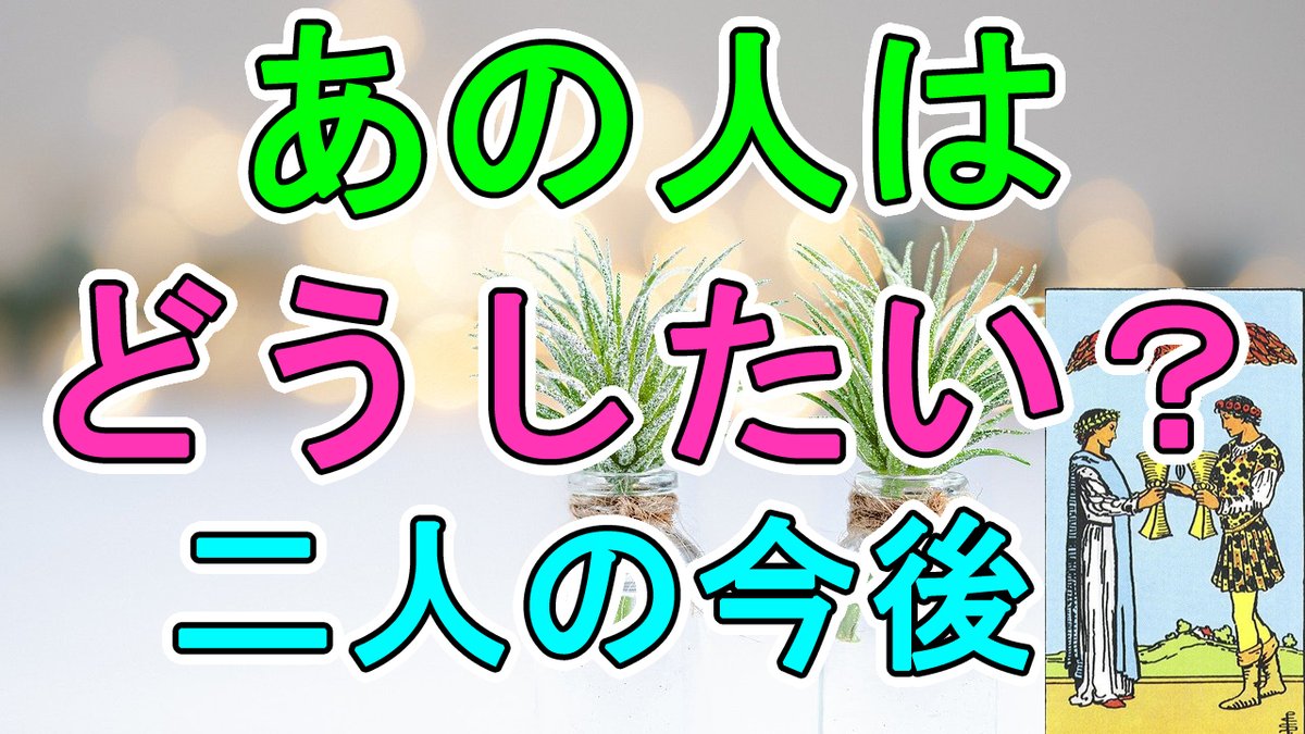 タロット 占い み もり まこと