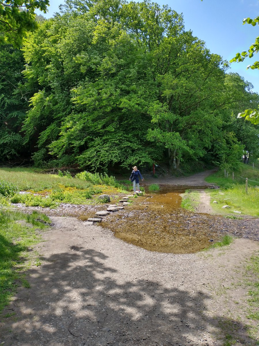 JThorbj's tweet photo. From our #walk in #rebildbakker #roldskov #ravnkilde #Rebild #Skørping #Himmerland https://t.co/b59sHsVZ0b