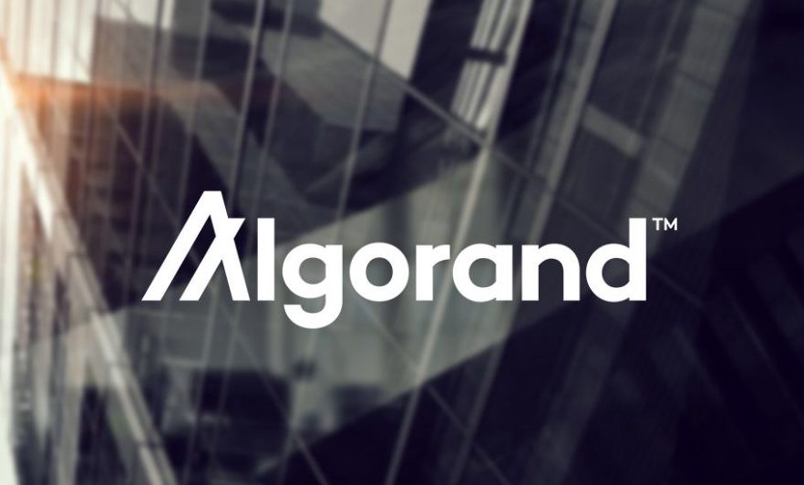 Michael Arrington's VC fund invests US$100m in Algorand: cryptocoin.news/news/michael-a…
#Algorad #AlgorandEcosystem #ArringtonCapital #BlockchainInvestments #InstitutionalInvestors