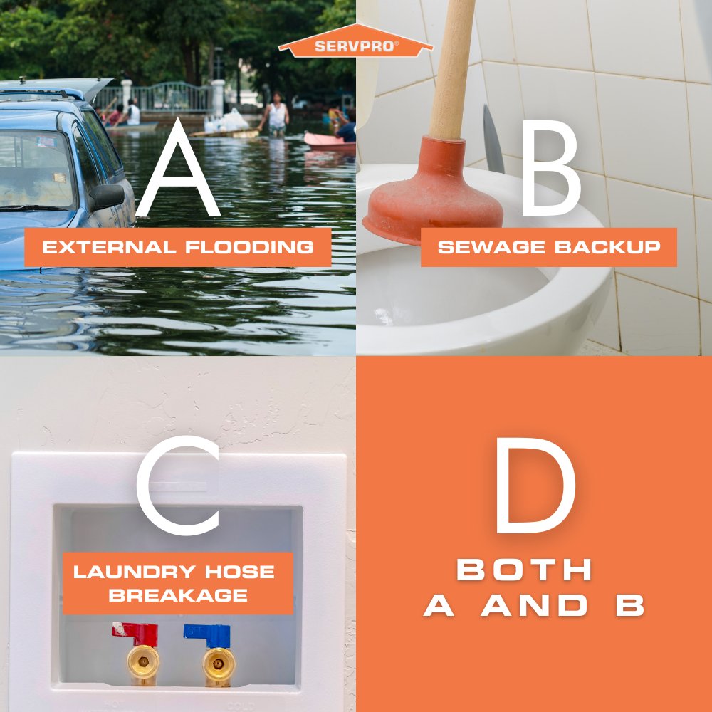 ServproWalnut's tweet image. Which source of water is extremely unsanitary and exposure can lead to discomfort or disease? A, B, C or D? #servpro #waterdamage #servprowalnut