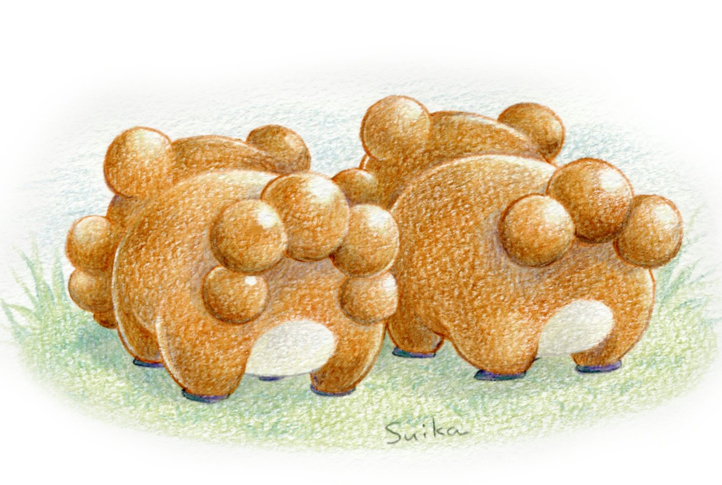 تويتر 翠夏 على تويتر ビッパのおしり ポケモンイラスト T Co 263sifhsux