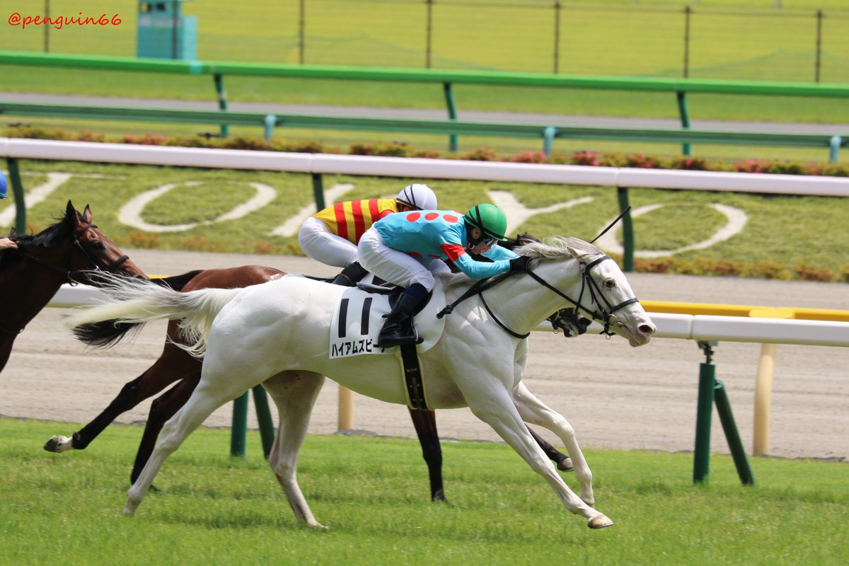 主にシラユキヒメ一族 Min T ミント 主にシラユキヒメ一族 Min T ミント