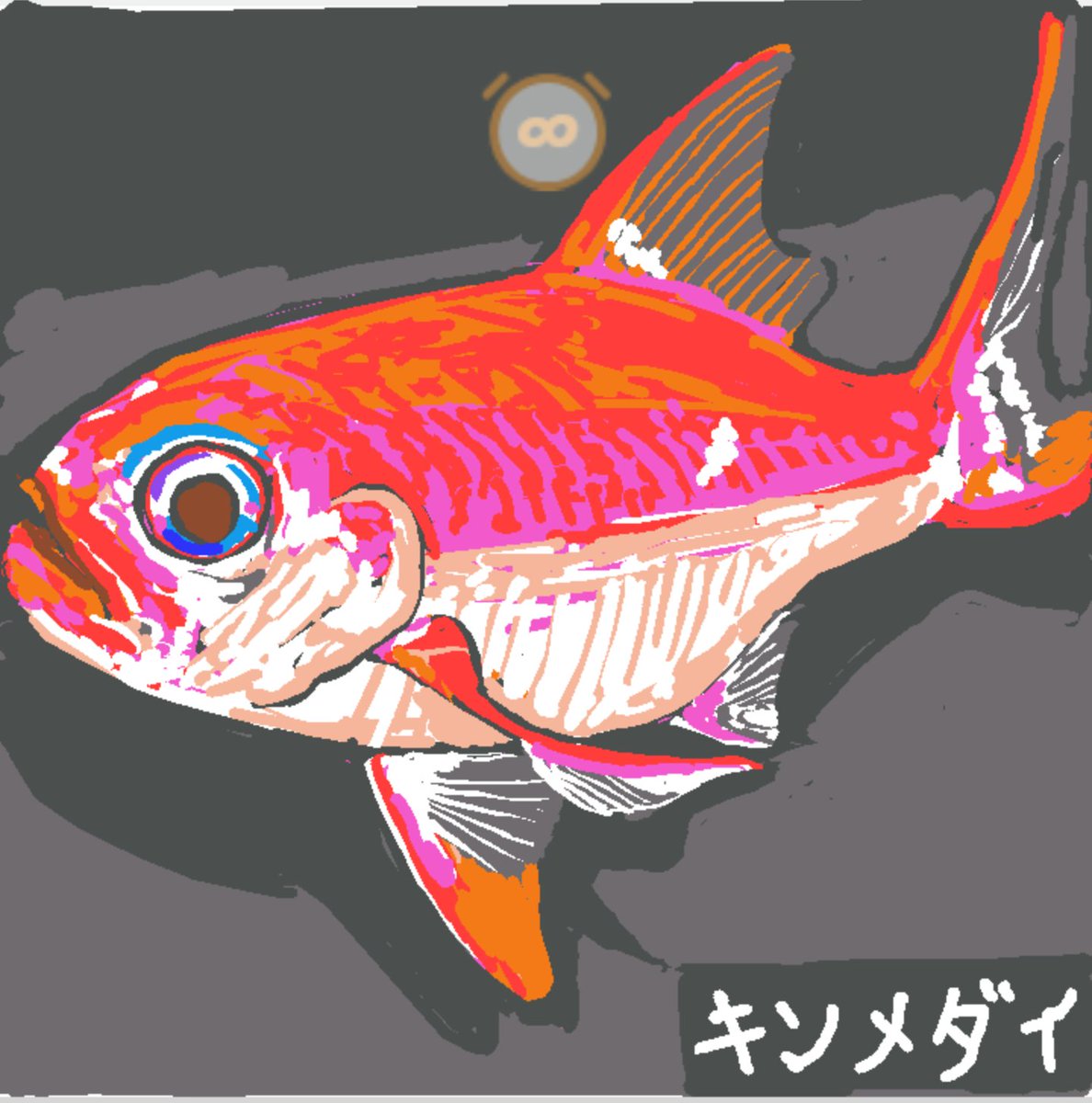 青津ピオン Realityイラスト部 ピオン水族館 今日は キンメダイ を描きました 深海に生息しており 目が金色に輝くことからその名 金目鯛 がつけられましたが 実は鯛の仲間スズキ目ではなくキンメダイ目に属しています 煮付けや干物が
