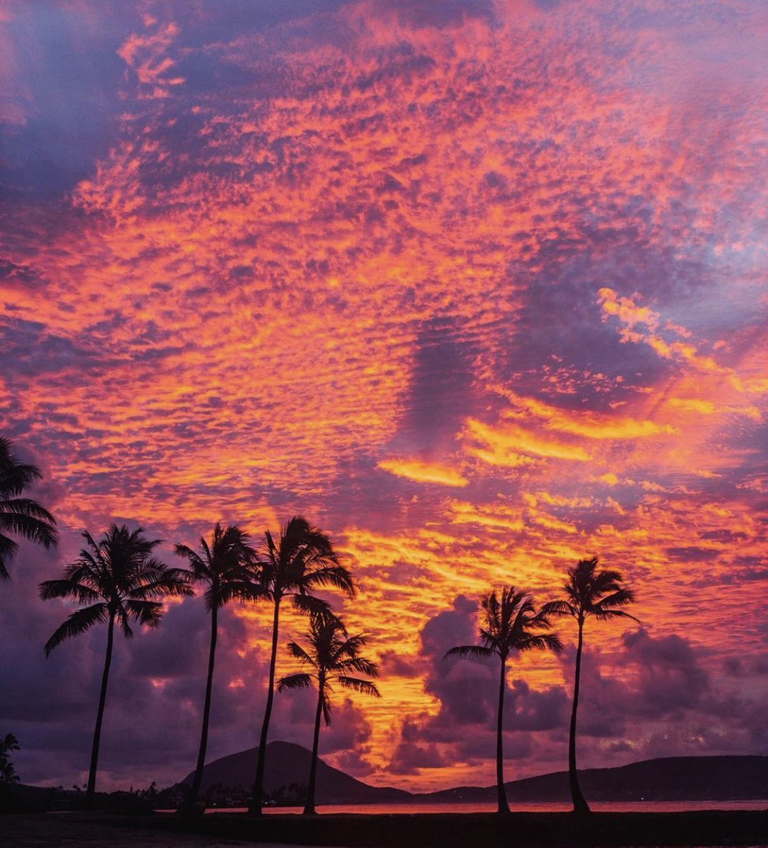 Sunsets 🌅 tweet media