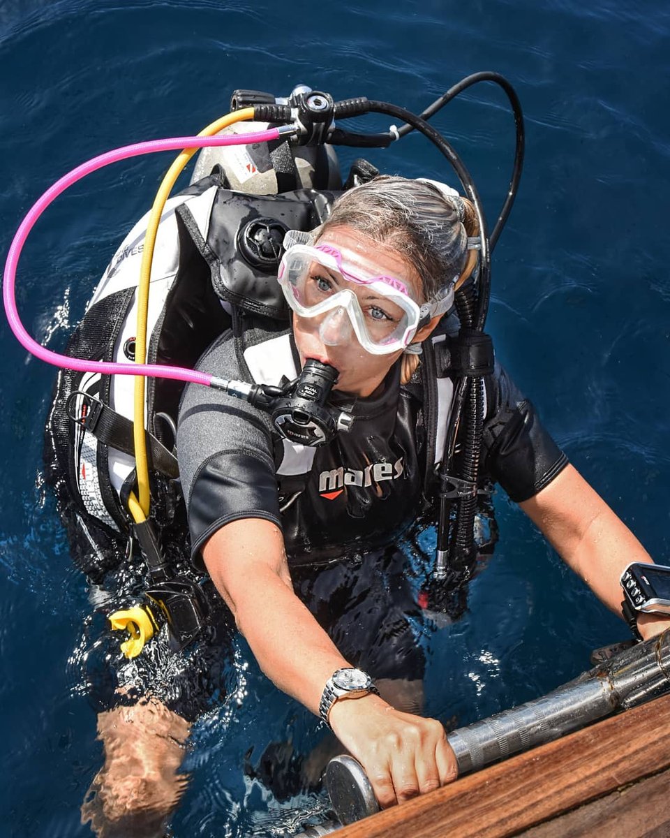 Diveasapp tweet media