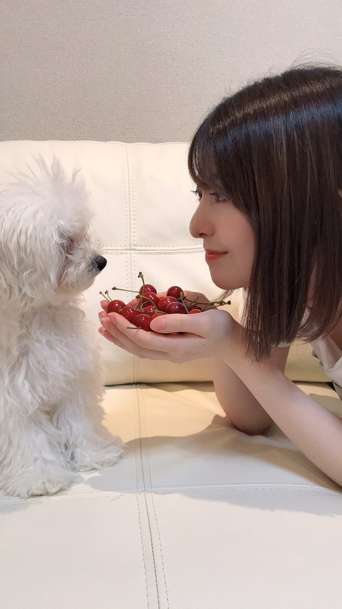 TACHIKOMA_NG's tweet photo. 応援します。
#奇跡の一枚2021
#まほりこぽんタイム

#山口真帆
#ショコラの魔法
#哀川ショコラ
#結婚できないにはワケがある 
#高田よしえ

#菅原りこ
#おしごとろ～り
#アニマルプレイパーク
#mogur 
#HATSuKOI

#長谷川玲奈
#長谷川玲奈の会いにきなせや
#電音部
#犬吠埼紫杏
#WIXOSS 
#犬宮羅々 https://t.co/kGIfFkR42t