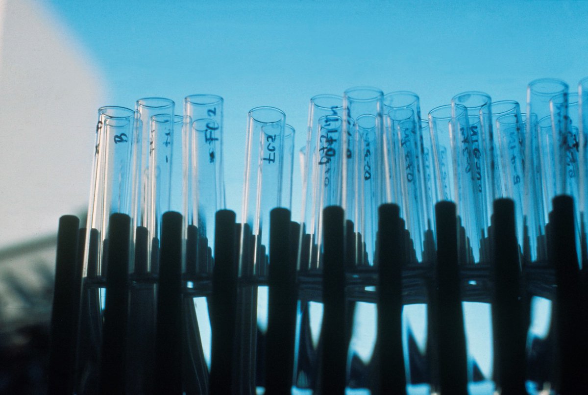 AmericanCancer's tweet image. Join us for a discussion on the importance of women supporting women, from the research lab to the board room. Wednesday, June 16 from 6:00pm EST. Register➡️ forms.office.com/r/qWjxrNzCdi 

#ACSResearcHERS #AmericanCancerSociety #AttackingCancer