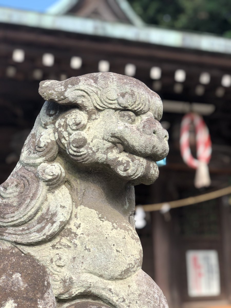 ShrineToyo's tweet photo. 210612 狛江市西野川
#小足立八幡神社
創建年代不詳。小足立村の鎮守社であり、明治 4 年に村社となった。御祭神は品陀和気大神。 https://t.co/ScN7RDgqj4