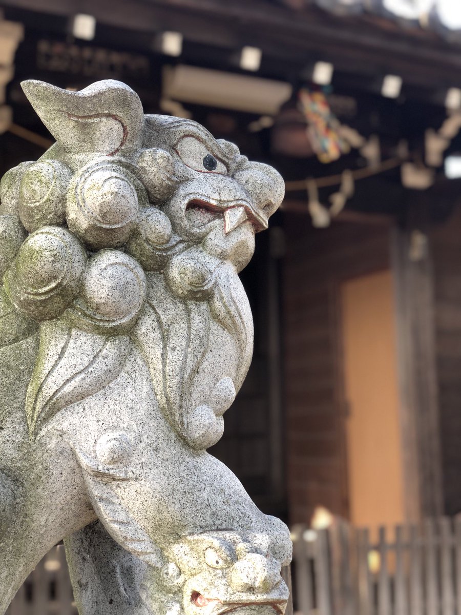 ShrineToyo's tweet photo. 210612 狛江市西野川
#子之三島神���
文安 5 年（1448）の創建。北辰妙見を祀る。明治元年、天台宗千手院の境内にあった三島神社を子之権現社に合祀。明治 4年に村社に列格した。 https://t.co/4SZcww0lo9