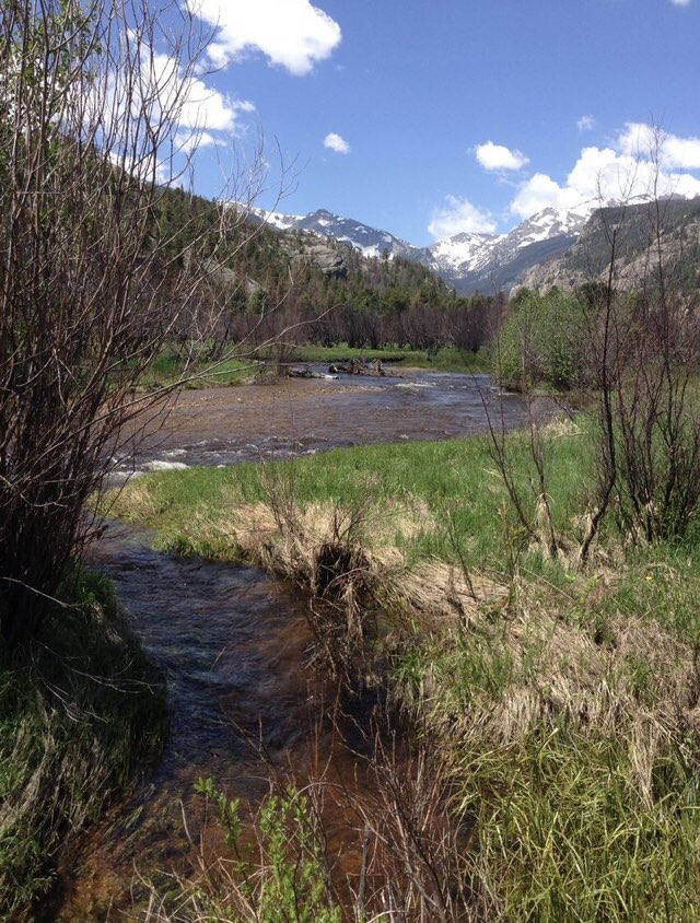 okWessler5's tweet photo. Natures Beauty #048
#StandForOurFlag🇺🇸

@FireBallNPizza
@MikeCompton
@LizzyKiss37
@okWessler5💥
@patriot_roll
@antny1bird
🦅
@ILYM333
@judytgolf
@jeff_pill
@Dbargen
@JVER2ME
🦅
@Mrcy_Grce
@sammie91j
@IzuagiePaulisa
@PhilupduTruck1
@DaveSchreiber3
@AngelWarrior320
#AmericaFirst 🇺🇸 https://t.co/6tItL9SooY