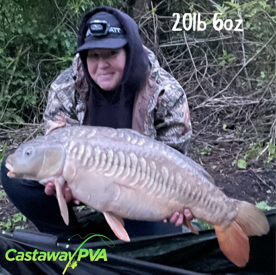 Castaway PVA tweet media