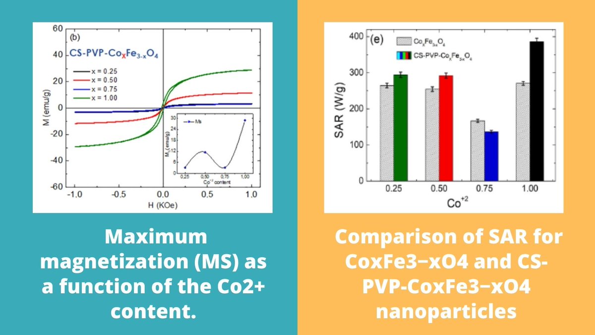 ScienceAtYachay's tweet photo. Magnetic measurements showed a decrease of magnetization in coated nanoparticles due to CS and PVP influence and a ferrimagnetic characteristic given by CoFe2O.Moreover, the presence of PVP and CS in nanoparticles produce high specific absorption rate values for hyperthermia♨️ https://t.co/c2Lm7u72Ul
