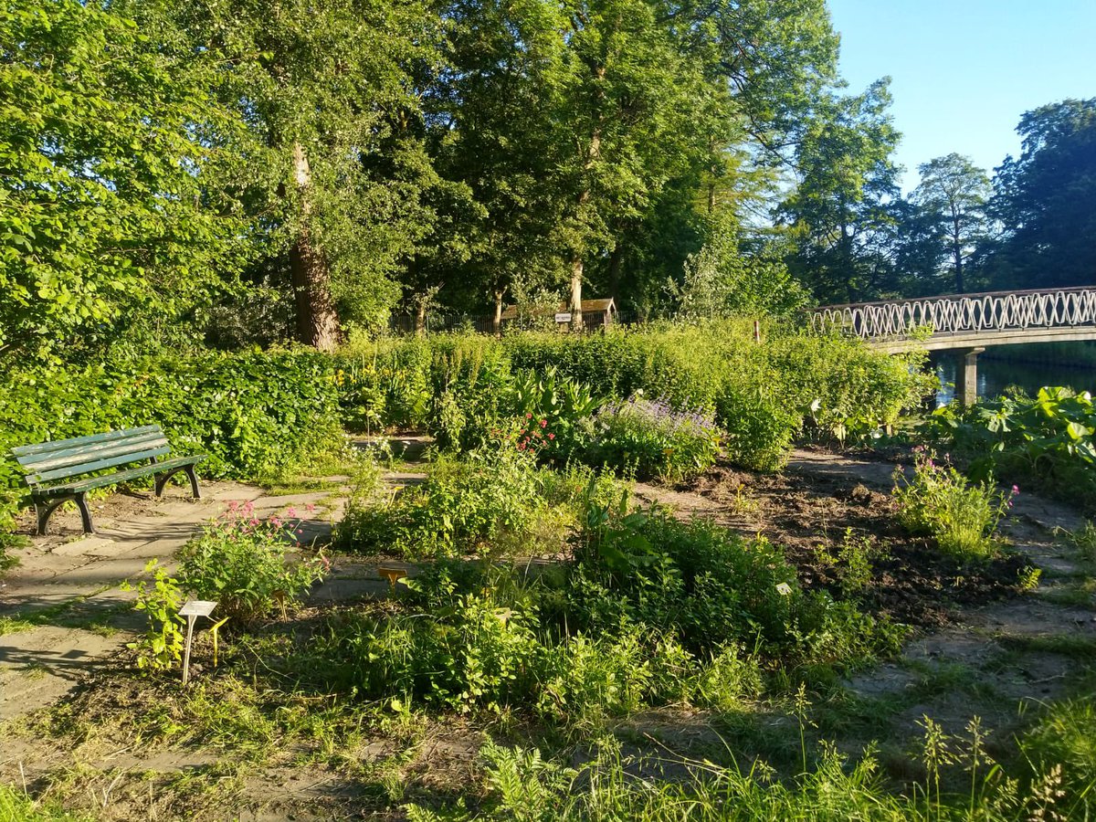 Twee weken na de geslaagde NL DOET actie, waarbij veel vrijwilligers waaronder ook het college van <a href="/schiedam_nl/">Gemeente Schiedam</a> aan de slag gingen,hebben de eerste 50 kruiden een plekje gevonden in de nieuwe #kruidentuin van het <a href="/beatrixpark010/">beatrixparkschiedam</a>!