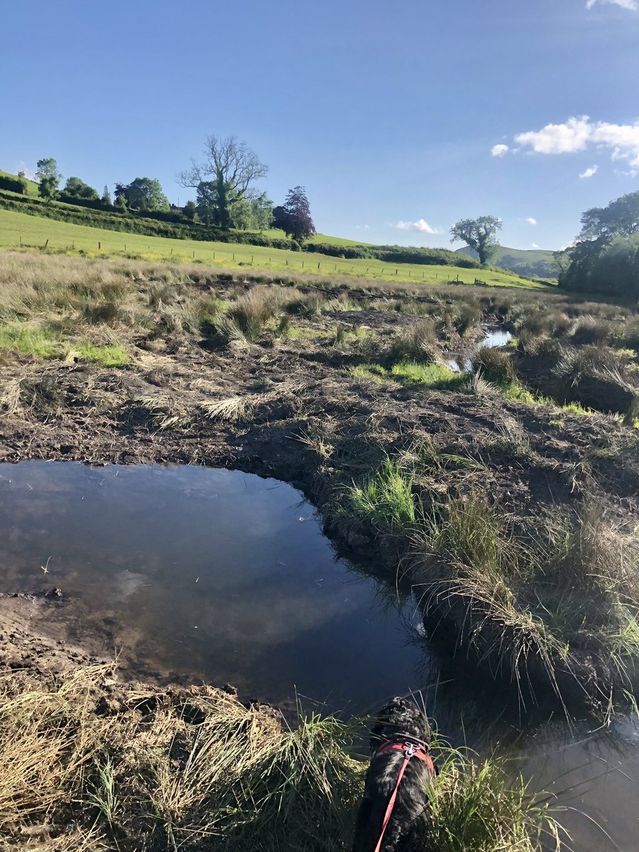 James Robinson tweet media