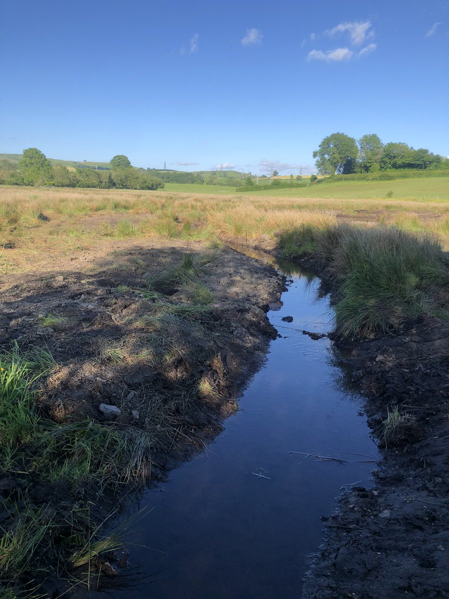 To you it may just look like a bit of water and mud, but to me it is the start of a new wildlife habitat for our farm.
After only 5 days work, Danny <a href="/UllswaterCic/">Ullswater Catchment</a> has turned a canalised 220m straight beck into a series of squiggly channels, scrapes and ponds.
It is awesome!