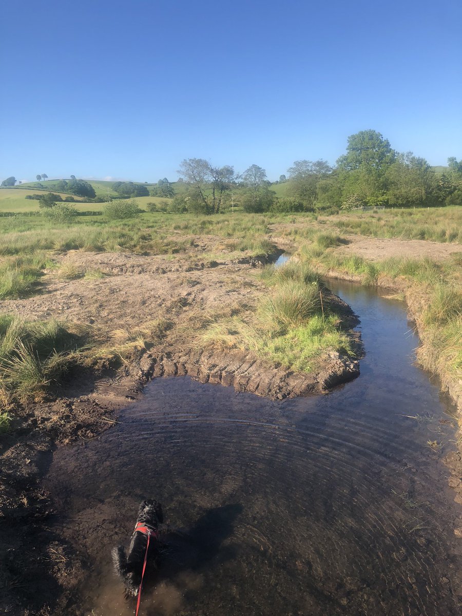 James Robinson tweet media