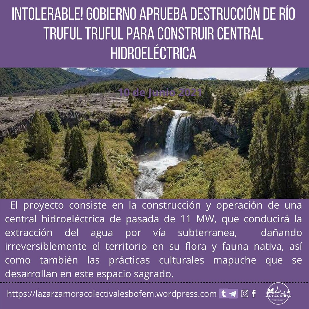 "Hacemos un llamado a activar la solidaridad mapuche y no mapuche. A nuestras autoridades tradicionales del territorio, a las machi y lawentuchefe que usan el txayenko como espacio de extracción de lawen, a todos quienes son respetuosos de la naturaleza" #ComunidadesMelipeuco