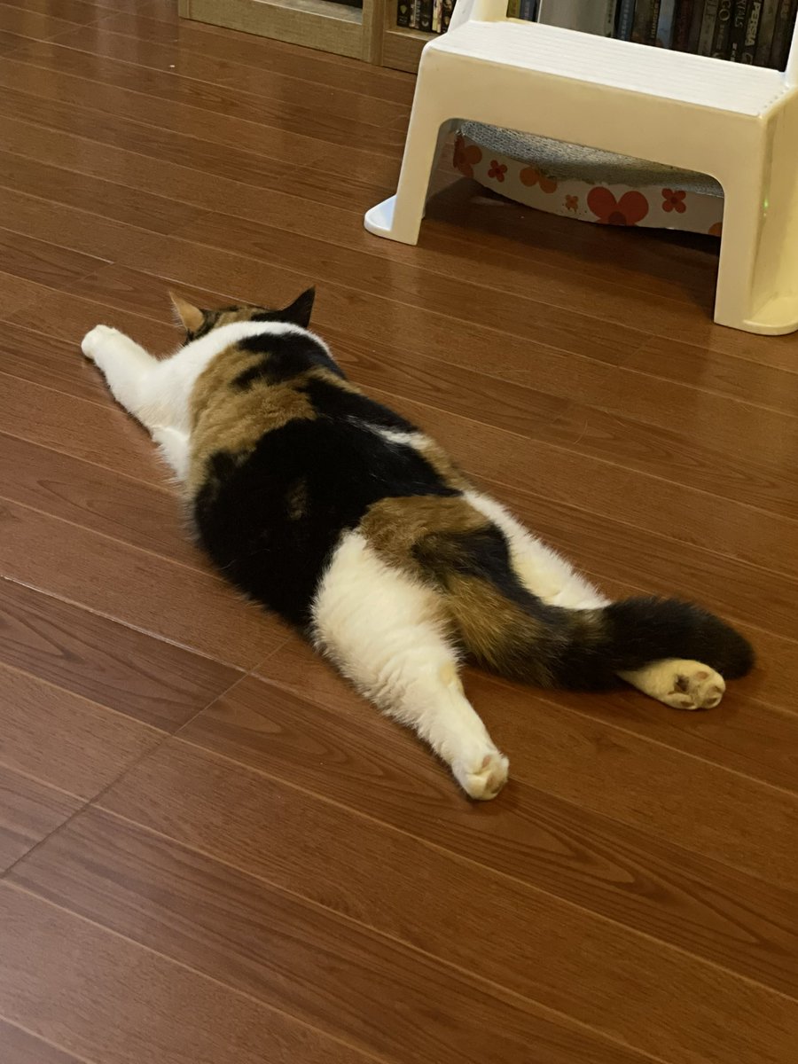 บีมกับน้องๆ (@yayee2548) on Twitter photo 