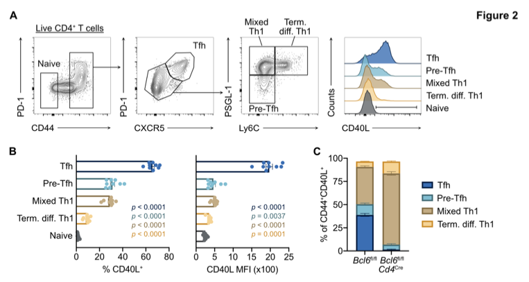 mmw_lmw's tweet photo. #SARSCoV2 | High-affinity, #NeutralizingAntibodies to can be made in the absence of T #FollicularHelper cells | Stephanie Eisenbarth @YaleMed @biorxivpreprint https://t.co/jwK3y2j9vM https://t.co/Dcq9mmKl21