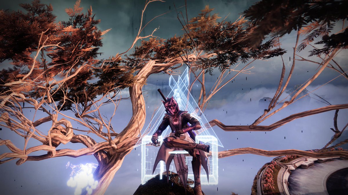 Ayzize tweet picture
