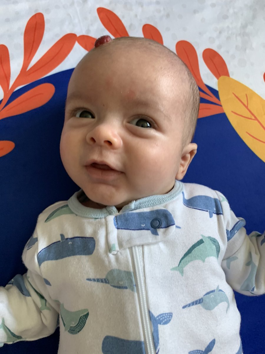 cknorrart's tweet photo. Three months of joy. https://t.co/12N0prT6nO