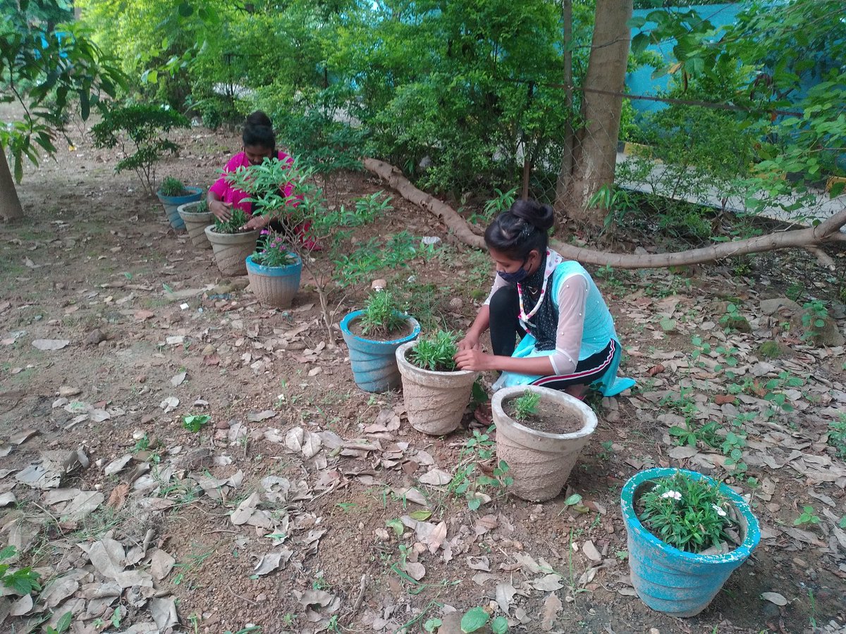 BadekTurati's tweet photo. ⚜ SANKALAP-2. 0⚜️
     TO CREATE A BETTER TOMORROW 🙏👍
ACTIVITY_5
               **"";(LOCKDOWN GARDEN);""**
#SANKALP_2 .0
#BSG
#bsg4sdg 
#bsgindia
#bsgsankalp https://t.co/kfYmlQ2Kuu