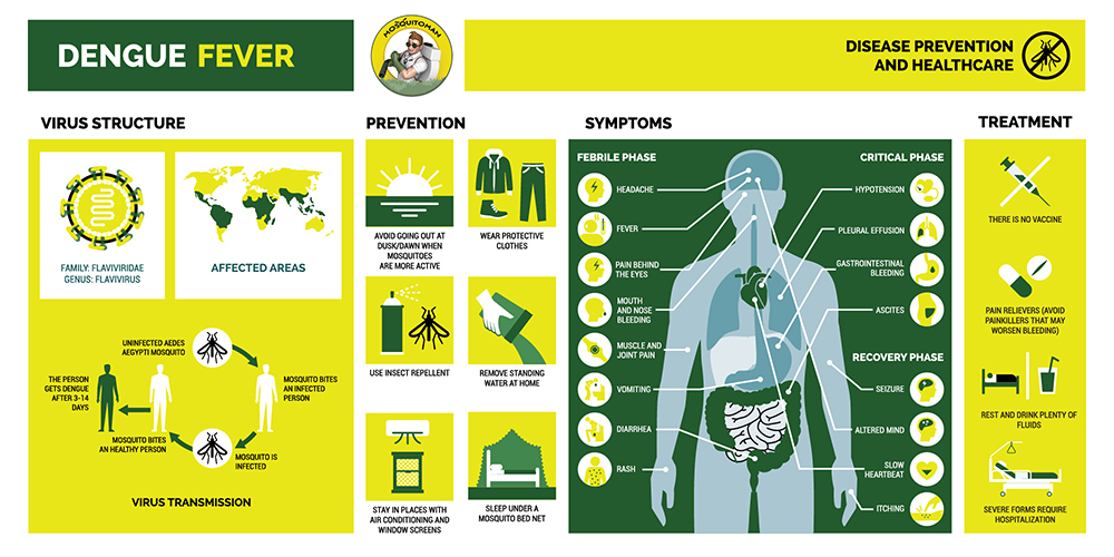 Mosquitomanca's tweet photo. These are the symptoms of Dengue Fever and how to you can prevent mosquito bites in general. Stay protected as best as you can all summer long, contact us today if you have any inquiries. https://t.co/mwUEmo0VLO