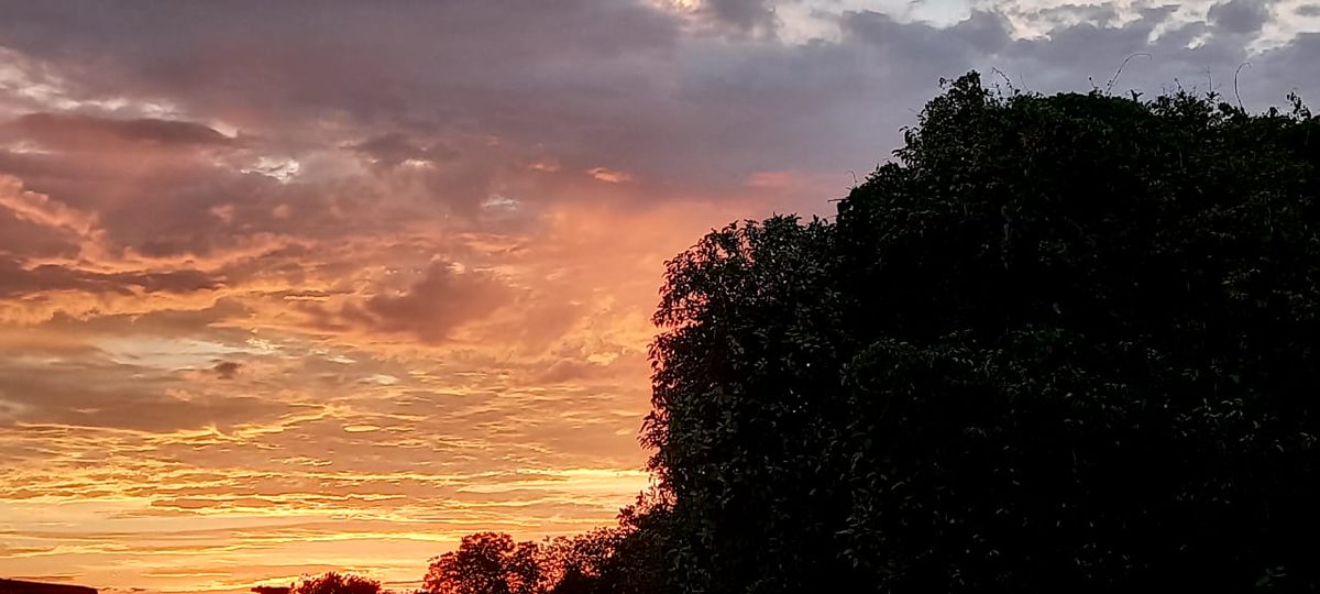 झुरमुट में दुपहरिया कुम्हलाई
खेतों पर अँधियारी छाई
पश्चिम की सुनहरी धुंधराई
टीलों पर, तालों पर
इक्के दुक्के अपने घर जाने वालों पर
धीरे-धीरे उतरी शाम !
#DharmVeerBharti जी की शाम मेरे इलाहाबाद घर की छत से अभी ।