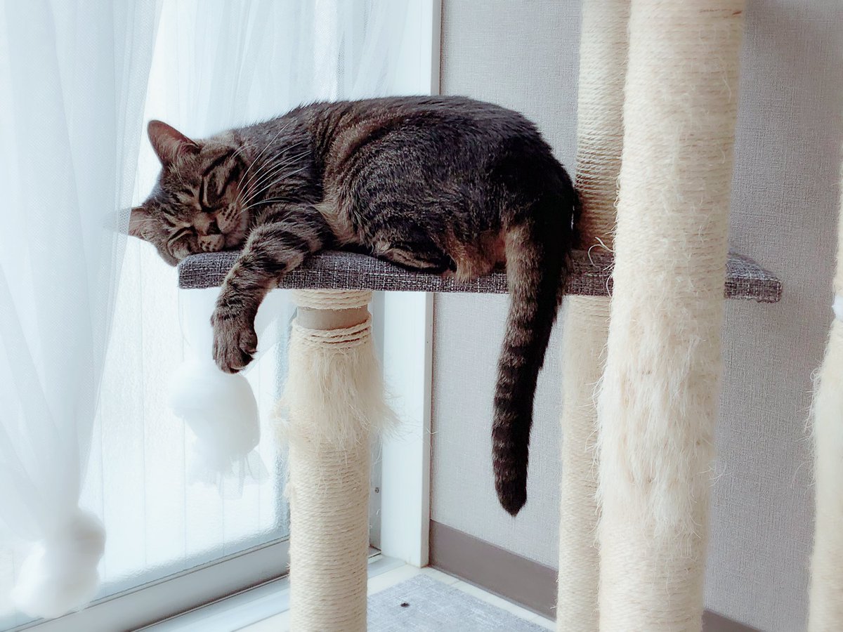 写真大っ嫌いなるち子から誕生日プレゼントもらった。