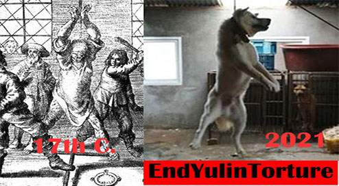 Tell me, @MFA_China @AmbLiuXiaoMing @AmbCuiTiankai
@ChinaEmbGermany do you really want your country to be perceived like this by the WHOLE WORLD? 

#EndYulin #EndYulinForever #EndDogCatMeatTrade #EndDogCatMeatEating #BanYulinTorture #StopCruelty #StopPerversion #ChineseGovernment