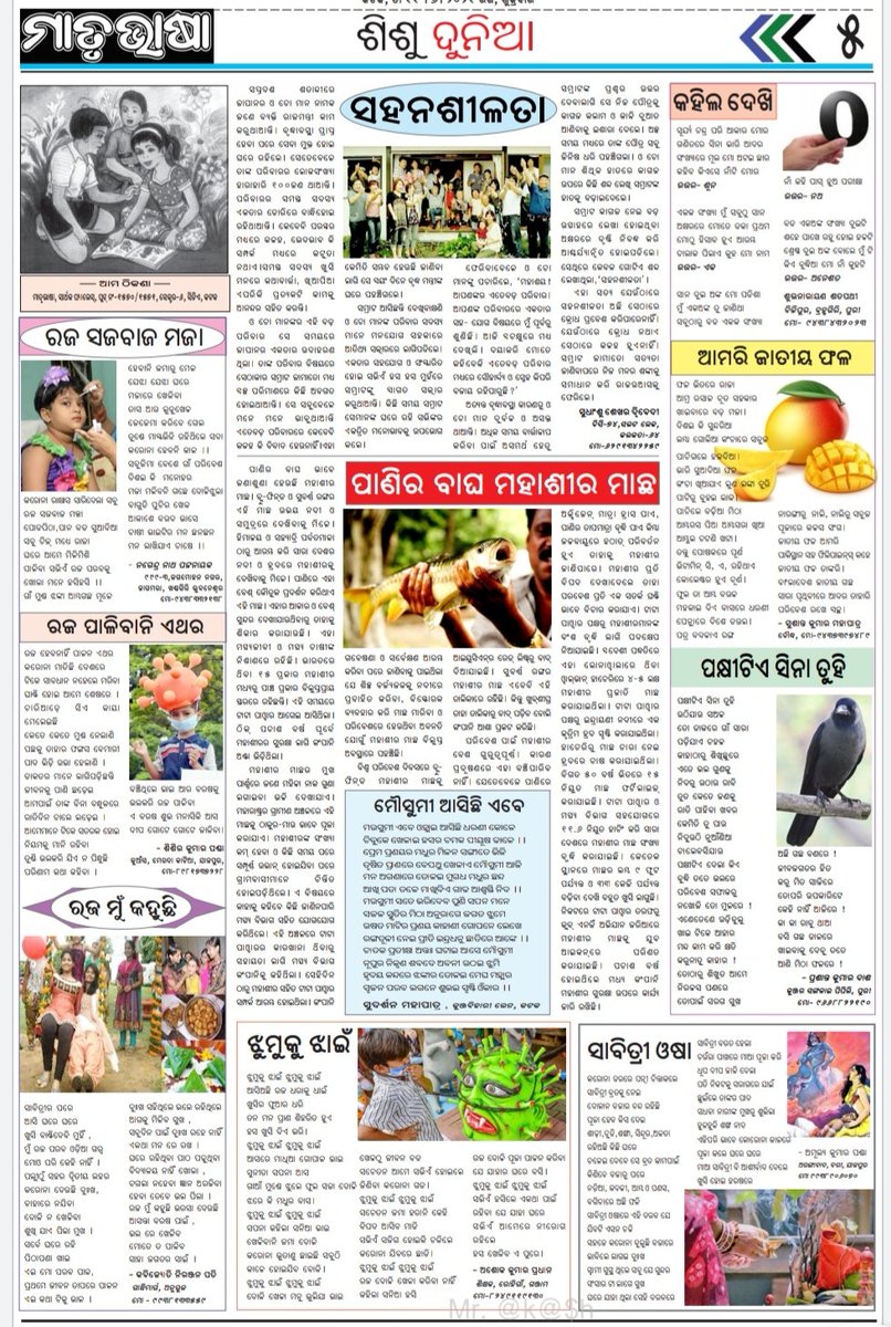 Poet_Amulya's tweet photo. ଆଜି ତା 11.06.2021 ( ଶୁକ୍ରବାର ) ଦୈନିକ ଖବରକାଗଜ #ମାତୃଭାଷା ର ଶିଶୁ ସାହିତ୍ୟ ପୃଷ୍ଟା #ଶିଶୁ_ଦୁନିଆ ମୋର କବିତା #ସାବିତ୍ରୀ_ଓଷା ...! ସମ୍ମାନନୀୟ ସମ୍ପାଦକ ଓ ସମସ୍ତ ସମ୍ପାଦନା ମଣ୍ଡଳୀଙ୍କୁ ମୋର ହାର୍ଦ୍ଦିକ ଶୁଭେଚ୍ଛା, ଶୁଭକାମନା, ଧନ୍ୟବାଦ ସହ କୃତଜ୍ଞତା ଜଣାଉଅଛି... । ( ପ୍ରଣାମ ) #matrubhasa https://t.co/N13mIpD2GX