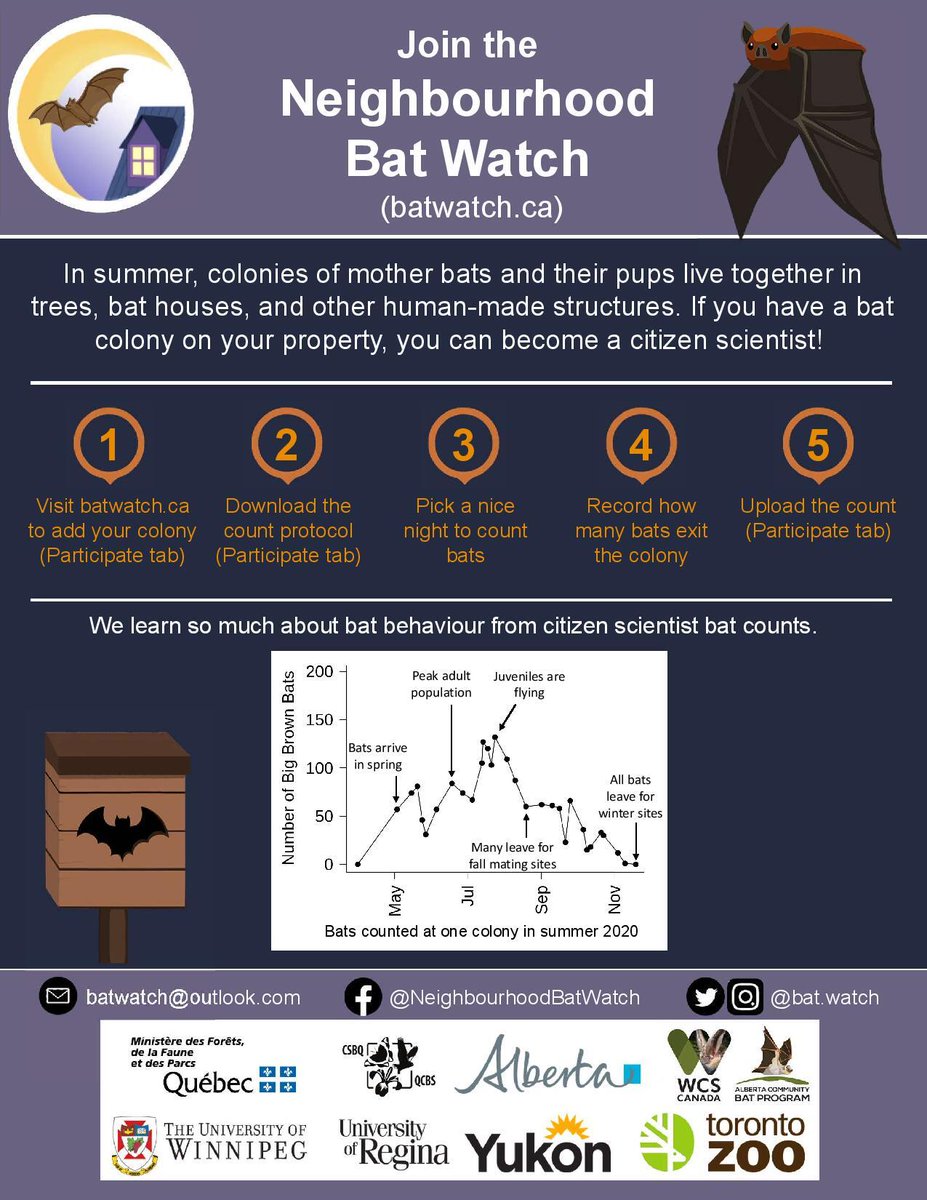 STORMCoalition's tweet image. The Willis Bat Lab would like to offer a free bat talk to interested groups (via zoom or other online platforms) to educate members on threats facing bats in Ontario (e.g., White-nose syndrome) and the research that their lab does to better understand and protect bats. #batwatch