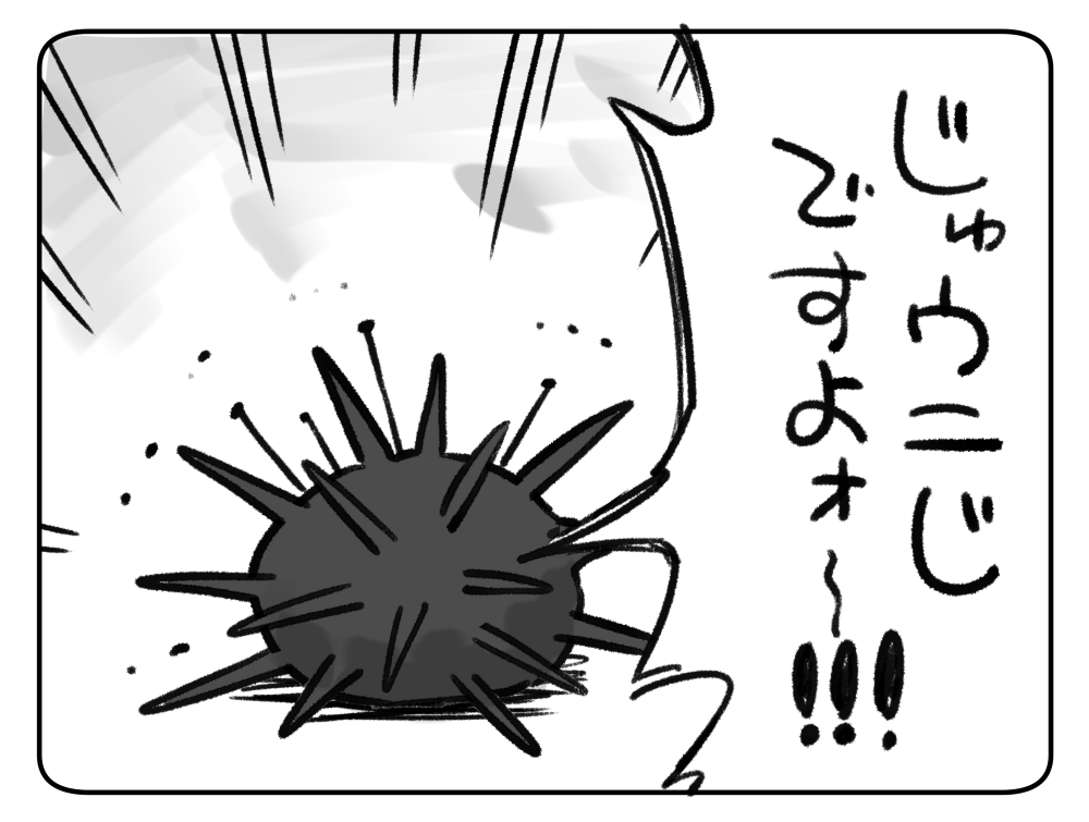 お知らせするウニ✹ 