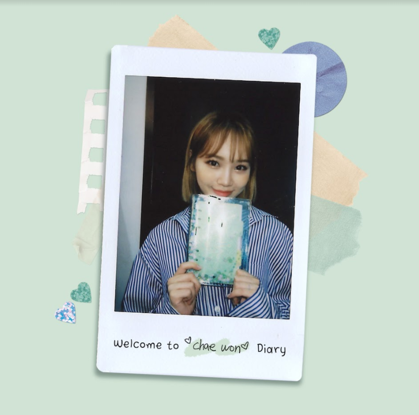 timeto_kcw's tweet photo. 200613 official izone twitter

#김채원 #キムチェウォン #아이즈원 #IZONE #0613의_김채원 https://t.co/2txHKWnm2c