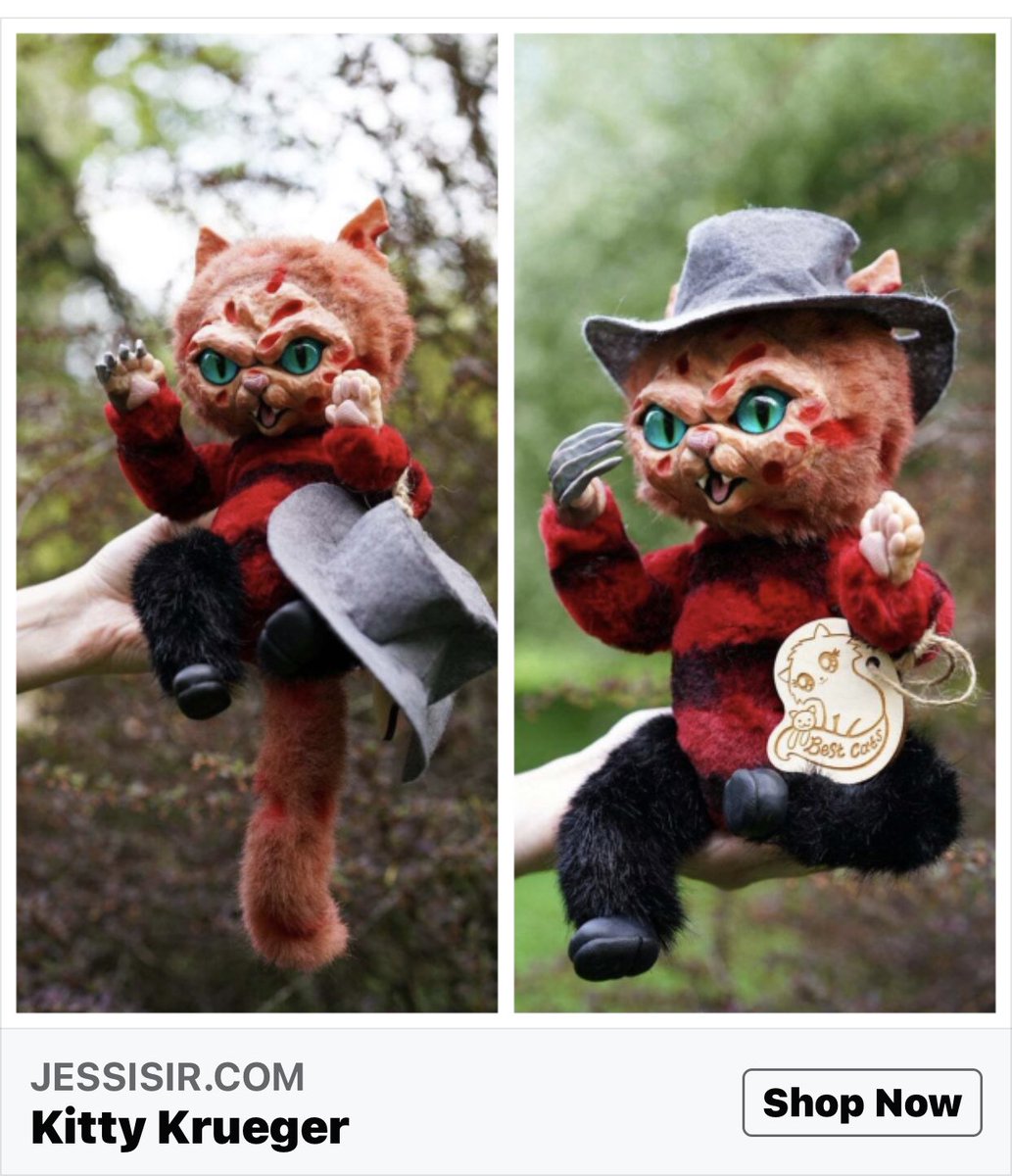 I love this! 🐱 had to buy it! #FreddyKrueger #freddycat👍🏻