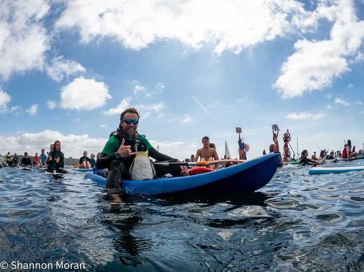 One of the very good days on the water! Huge shout out to @HugoSAS 🙌🏻 the @sascampaigns crew and everyone who paddled out 🤙🏻🌊🐧

#G7 #OneOcean #OceanOptimism #OceanPlanet @sascampaigns #SurfersAgainstSewage #OceanEmergency #LoveCornwall @Shannon_Photo #FalmouthUni