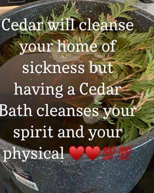 Tracey King MEd Higher Ed, MEd Aboriginal Ed 2022 tweet media