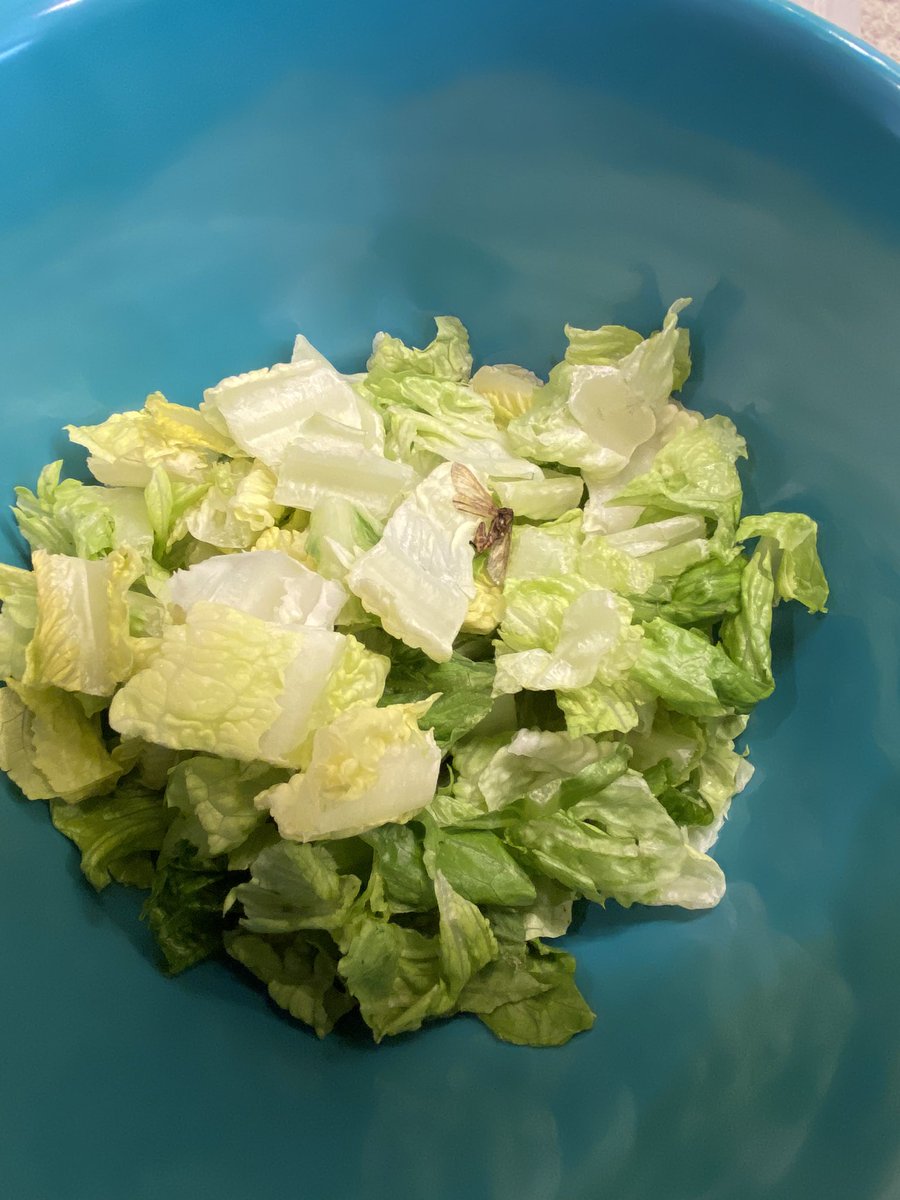 chigbeach24's tweet photo. @Walmart 
Opened a brand new bag of your Marketside caesar salad kit the other day, and it looks like you guys have added a protein to the mix.... https://t.co/WNKcsJCJJd