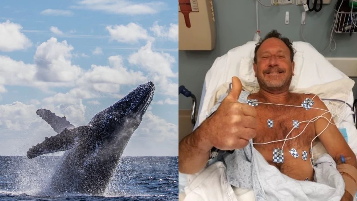 Man swallowed by a whale...hmm sounds like a familiar story. 

google.com/amp/s/www.pede…