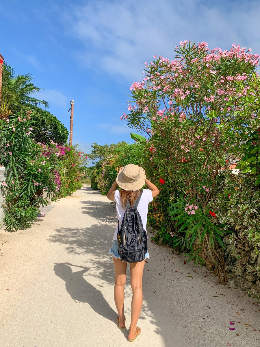 Appi🌈 tweet media