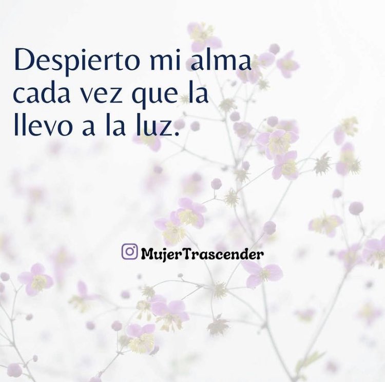ferojedacoach's tweet photo. https://t.co/JEhsFolm5M https://t.co/9OtuMyZYxf