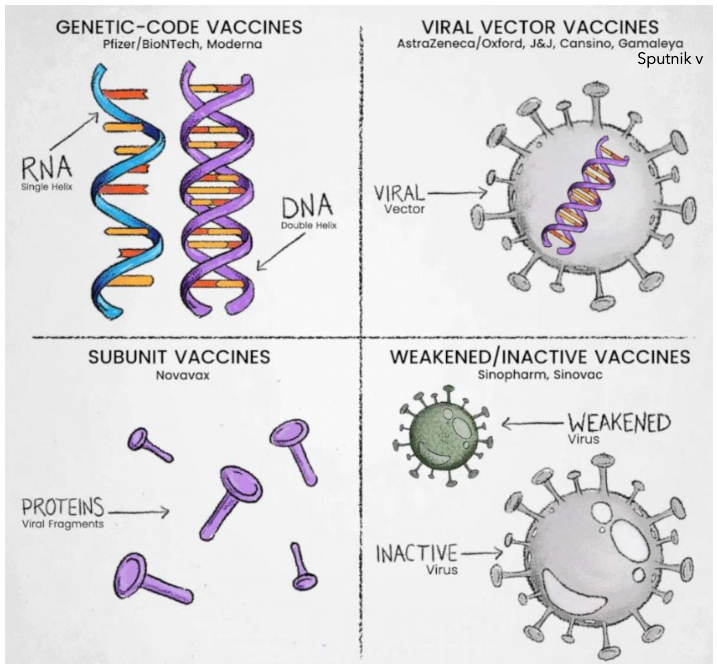 ShrewsburySch's tweet image. What a fantastic way to conclude the year with our Yr10 #STEMPotential cohort today. Talks on technology and biochemistry behind vaccines and the lifecycle and tropical diseases transmitted by mosquitos from Dr Polos and Dr Currie-Jordan.